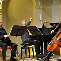 Františkovy Lázně, 20.1.2014, Pražské komorní trio